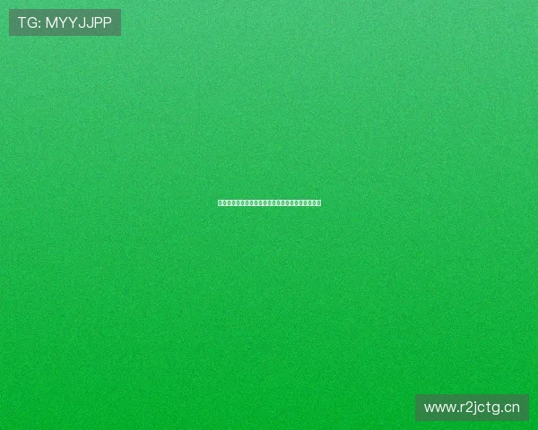 云开网络引领数字化转型助力企业智能化发展新时代